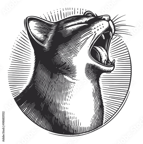 Yawning Cat Vector Drawing with Radiating Lines in Black and White Style