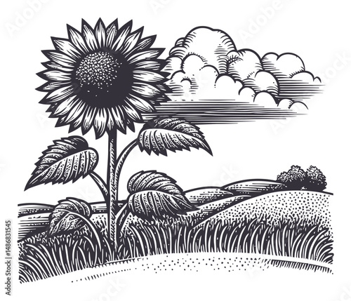 Detailed Vintage Vector Drawing of a Sunflower with Landscape Background