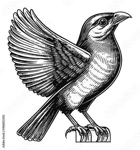 Elegant Bird Sketch with Detailed Feathers and Dynamic Wing Position