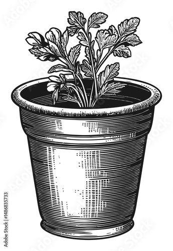 Detailed Illustration of Potted Plant in Vintage Vector Style