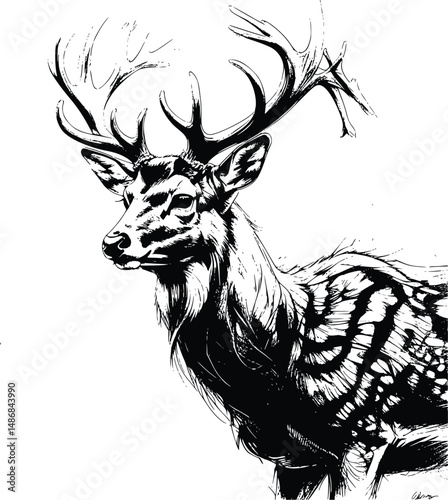 Illustration of a deer on a white background