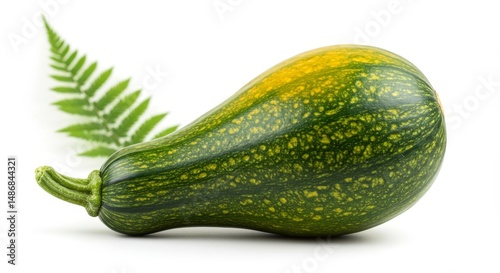 Studio shot of a vibrant zephyr squash alongside a delicate fern leaf