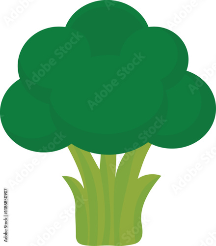 broccoli, illustration, clipart, for background designers,