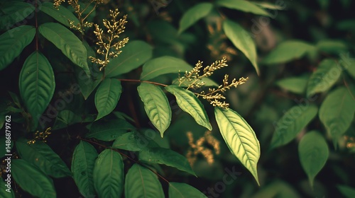 Minimalist botanical greenery composition with ultra high resolution clarity and natural plant texture details, rendered in 32K for modern nature-inspired design concepts