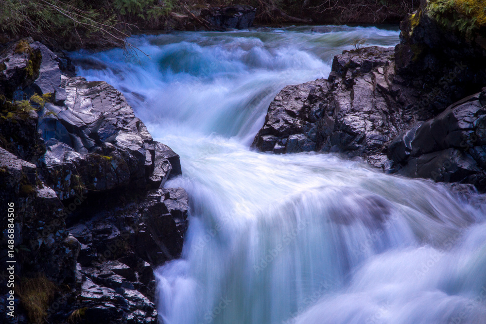 Fototapeta premium Qualicum Falls Provincial Park Canada