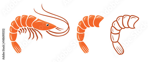 Collection of shrimp icons. Sketch of fresh shrimps isolated on white background. Collection of shrimps, without shell, meat, cleaned. Realistic vector illustration for banner, promotion.eps