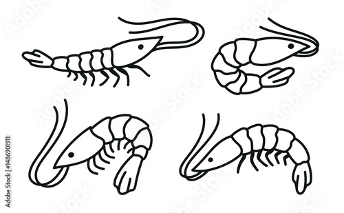 Fresh sea shrimp icons, Set isolated on white background of seafood vectors. Sea animal Caridea. Flat linear art isolated on white background. Vector illustration..eps
