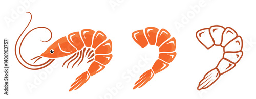 Shrimp icon set. Fresh shrimp. Collection of shrimps without shell, shrimp meat. With and without outline. Vector isolated on white background. Vector illustration.eps