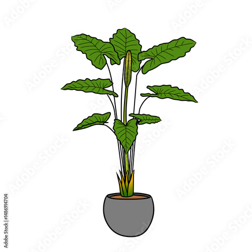 vector plants in pots for home decoration