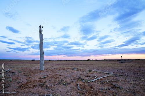 Fence post in arid landscape at sunset photo
