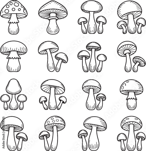 Hand drawn cute mushroom illustrations set