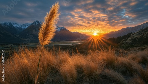 Sunset Mountain Pampas Grass.