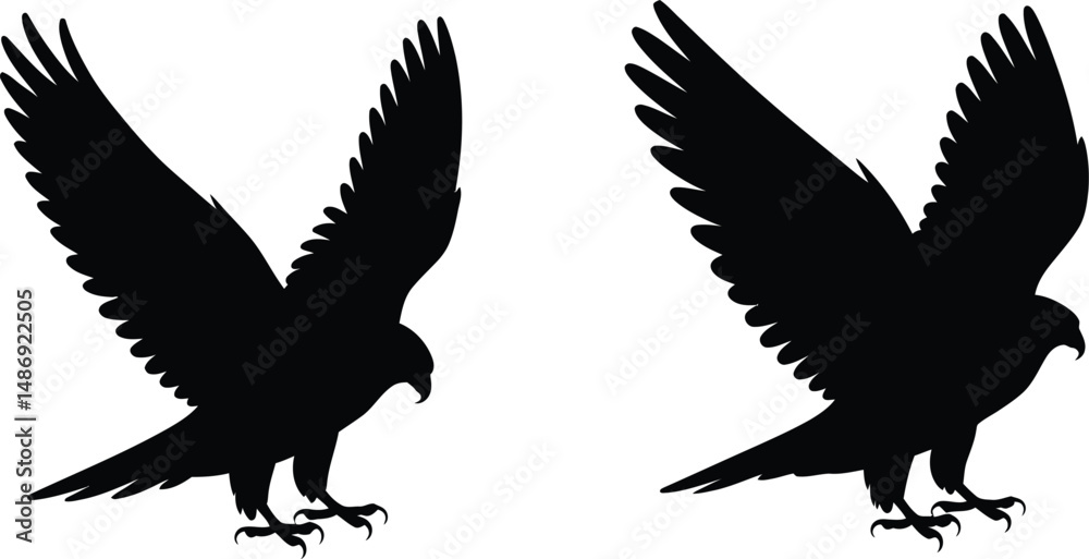 Fototapeta premium Powerful silhouette of a majestic eagle in flight against a white background