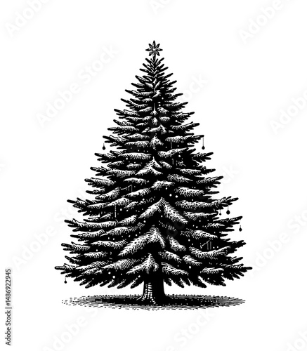 Decorated Christmas Tree with Star Topper in Detailed Black and White Engraving Style