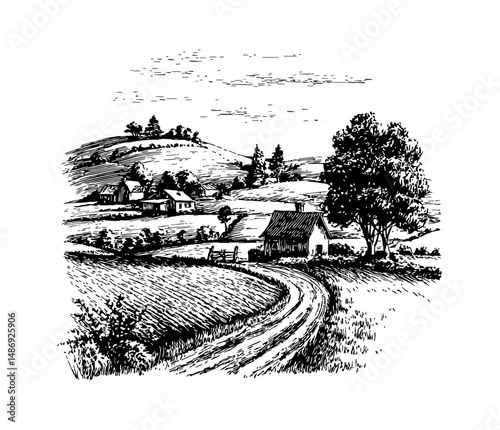 Rural Landscape with Farmhouse and Field Engraving in Black and White Detailed Line Art Drawing