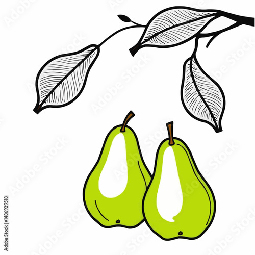 Fresh Green Pears with Leaves Vector Art Design