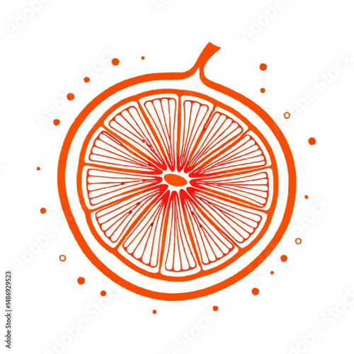 Orange Citrus Slice Vector Illustration with Juice Splashes