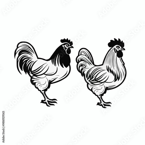 Two Roosters Farm Birds Vector Line Drawing