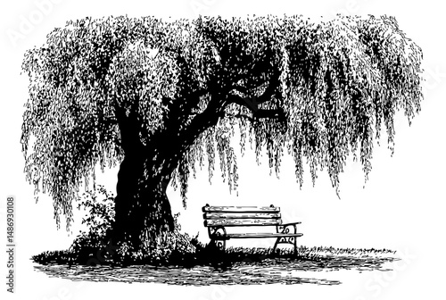 Willow Tree and Bench Silhouette in Black and White Engraving Style Illustration