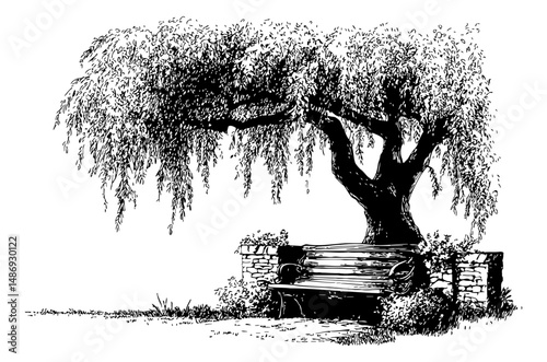 Willow Tree with Bench in Black and White Detailed Engraving Style Illustration Art