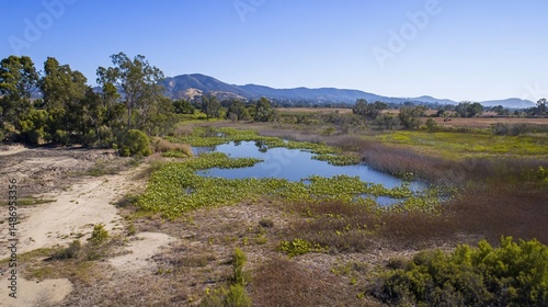 Serene Coastal Wetland Landscape Under a Clear Sky