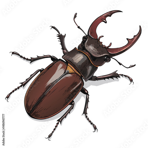 Create a highly detailed vector illustration of a stag beetle, showcasing its dark brown, glossy carapace and mandibles.  Achieve photorealistic quality.