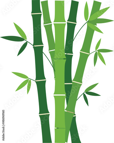 Bamboo stalks with green leaves natural plant illustration vector design 