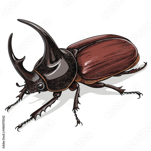 Create a realistic vector illustration of a rhinoceros beetle, showcasing its dark, iridescent exoskeleton and powerful mandibles.  Include intricate detail.