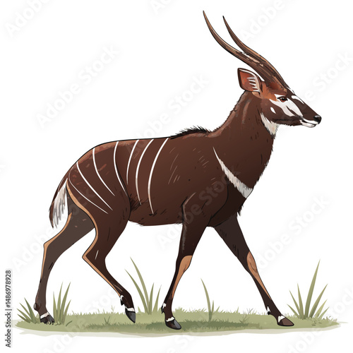 Create a realistic vector illustration of a Saola (Pseudoryx nghetinhensis), the Asian unicorn, standing majestically in its natural habitat.  Show detailed fur and horns.