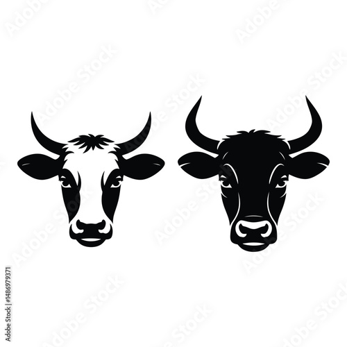 A black and white bovine stands on a white background, a common sight in dairy farming