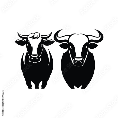A cute black and white calf, a bovine farm animal, isolated as a vector illustration