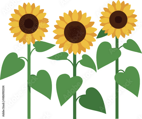 Sunflower plants with green leaves bright yellow petals and brown centers vector illustration 