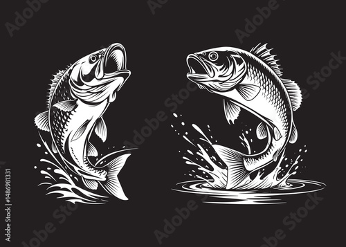 black and white vector illustration of a catfish jumping out of the water.eps