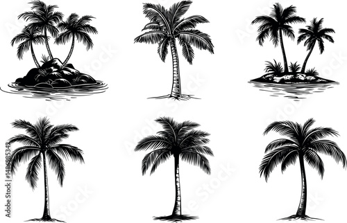 Various palm tree illustrations isolated on a white background