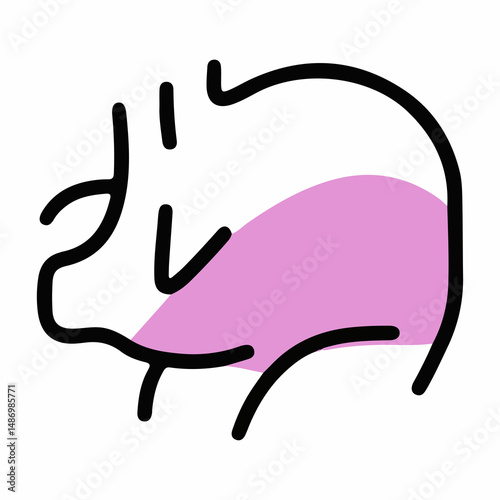 illustrations of various animals with a coloured half theme