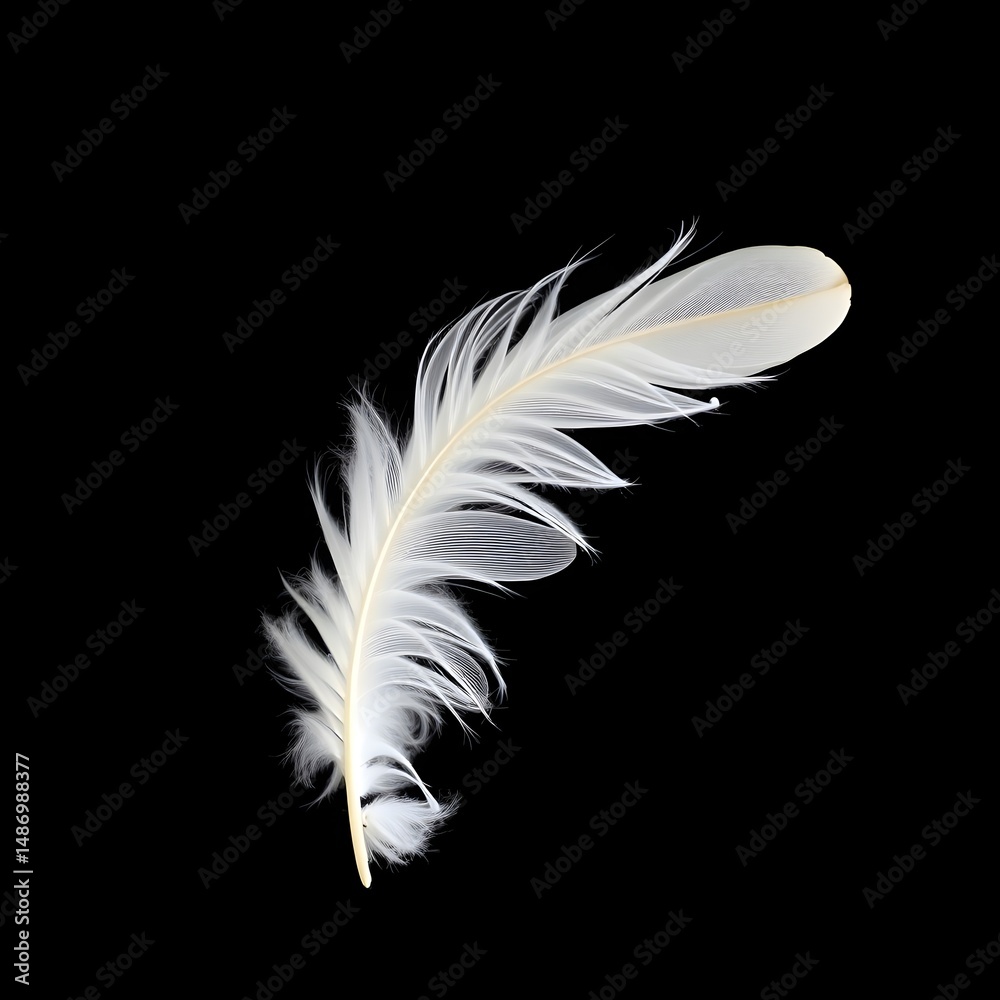 Obraz premium White Bird Feather on Black Background – Minimalist High-Contrast Nature Art