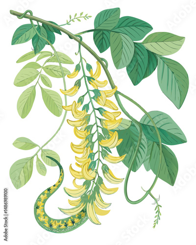 Create a realistic vector illustration of a vibrant yellow and green Jade Vine (Strongylodon macrobotrys) hybrid, showcasing its unique claw-like flowers and lush foliage.
