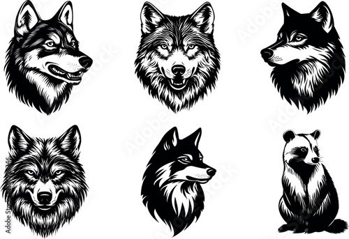 Various black and white wolf and raccoon heads isolated on a white background
