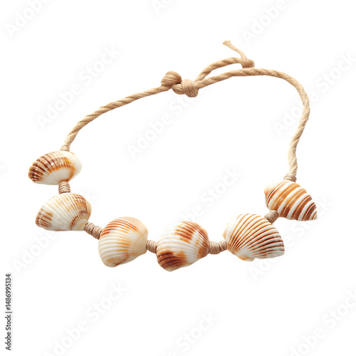 Bold Shell Anklet with a Row of Eye-Catching Natural Isolated on Transparent Background