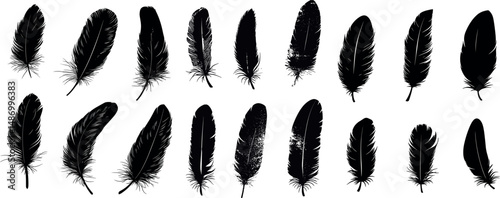 Collection of black feather silhouettes isolated on a white background