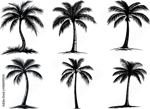 Six palm tree silhouettes isolated on a white background