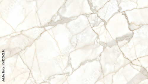 High-resolution marble pattern with subtle cream veining.