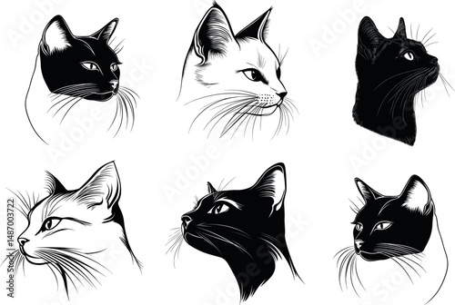 Six cat head illustrations in black and white on a white background