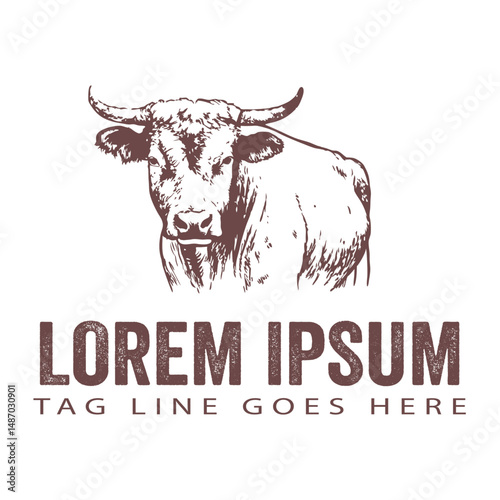 Hand drawn cow logo illustration in vintage style