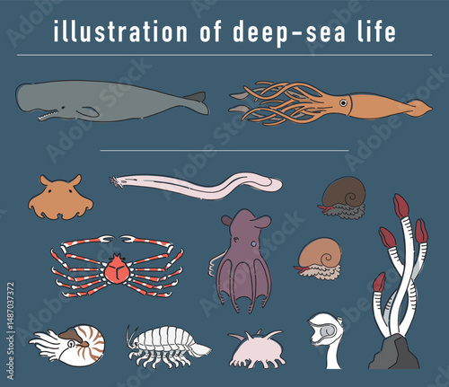 深海生物の手描きイラストセット