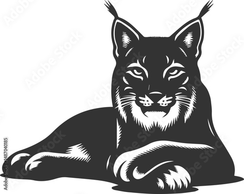 Wildcat  lynx vector animal silhouette