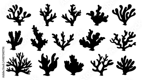Seaweed silhouettes, coral black icon. Abstract organic shape, underwater plant, matisse element, cute sea doodle.