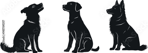 Three different dog breeds sitting isolated on a white background