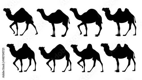 set of camel silhouette vector on tranparent background