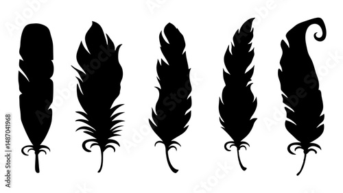 set of feathers silhouette vector on tranparent background